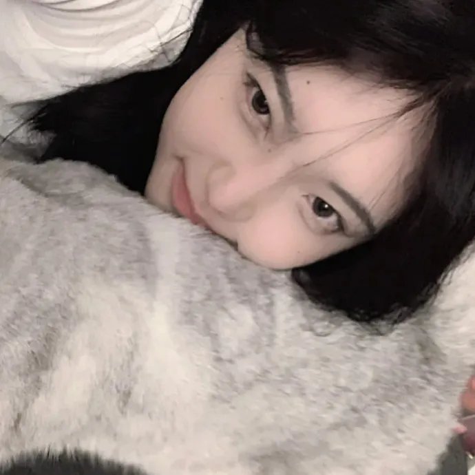 野良与皇女与流浪猫之心