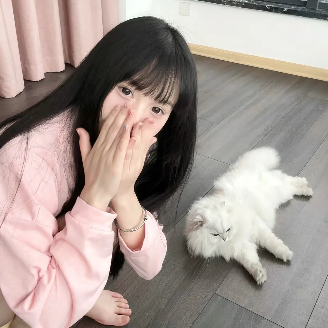 九鼎记之禹皇宝藏